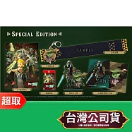 任天堂《薩爾達無雙 封印戰記》中文限定版 * Nintendo Switch * 台灣公司貨