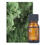 【MUJI 無印良品】精油 .柳杉葉/10ml