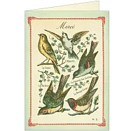美國 Cavallini & Co. Greeting Cards 卡片/萬用卡 _鳥兒們