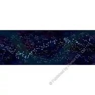 【雷諾瓦拼圖】星海夜語/長幅/夜光_1000片