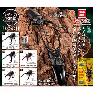 【日本正版授權】全套5款 生物大圖鑑 鍬形蟲篇 11 扭蛋/轉蛋 928703