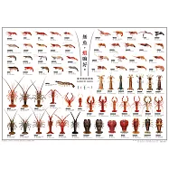 無魚，蝦嘛好-臺灣蝦類圖鑑海報