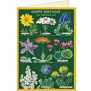 美國 Cavallini & Co. Greeting Cards 卡片/生日卡 _ 野花