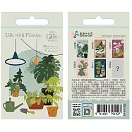 觀葉植物驚喜包Supercard悠遊卡【受託代銷】