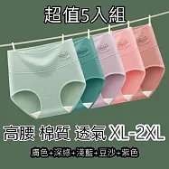 【唯密色】超值5入組 高腰棉質女客製內褲@Z65 2XL 膚色+深綠+淺藍+豆沙+紫色