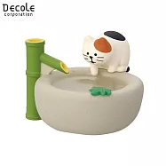 【DECOLE】concombre 微醺夏夜 乘涼時光 手水鉢旁的小貓