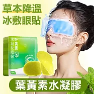 【美好家 Mehome】涼感舒緩眼罩 冰敷眼罩 葉黃素水凝膠眼貼10片/袋