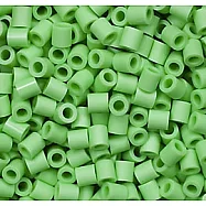 《Perler 拼拼豆豆》1000顆補充包-粉綠色