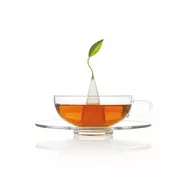 Tea Forte 精緻玻璃茶杯 + 印花茶碟 SONTU TEA CUP & SAUCER