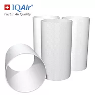 【總代理公司貨】瑞士IQAir-GC後置套筒濾網