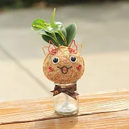 【迎光】超萌妖怪苔球-小石次郎