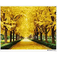 [HOMEHERE] DIY數字油畫/ 黃金大道(炫金款)