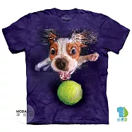 【摩達客】美國進口The Mountain 水中騎士查理王小獵犬 純棉環保短袖T恤 青少年版S號