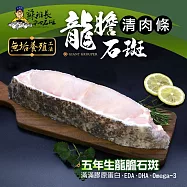 【蘇班長安心石斑】龍膽石斑清肉(600g/包)3入組 歐盟食安標準 肉質口感品質遠勝一般石斑