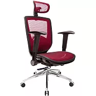 GXG 高背全網 電腦椅 (鋁腳/摺疊扶手) TW-81Z6LUA1