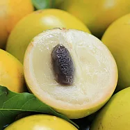 「自然農法」新鮮黃金果 - 天然果膠蒟蒻口感 5台斤/箱(免運)