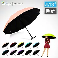 【雙龍牌】素面降溫13度魔術無敵傘 黑膠自動直傘 拐杖型手把晴雨傘A6252石英粉