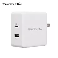Team十銓科技 急速旅行充電器(支援全電壓)WD03白