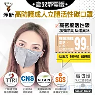 【淨新口罩 高效靜電版】台灣製成人立體活性碳口罩 100片/2盒組 (強力吸附異味 高效防護 透氣好呼吸)黑