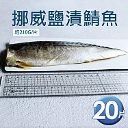 【優鮮配】挪威|3L厚片薄鹽鯖魚|210g|20片 免運組