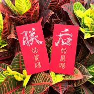 【GFSD】璀璨萬用紅包袋-【趣味文字系列-朕后恩賞 二入一組】