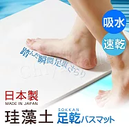 【日本藤原境內版】日本製 珪藻土 足乾樂 超速吸水地墊 乾燥快超吸水墊(55x43x0.9cm)-L(日本建材級)