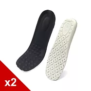糊塗鞋匠 優質鞋材 C16 5mm加成帆布鞋墊(2雙) 男款30cm