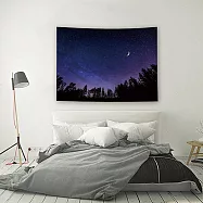 【DESTINO STYLE】日本高質感空間掛布 北歐森林的夏夜星空