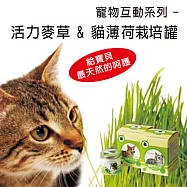 寵物天然野菜園三入組合