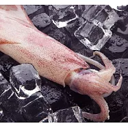 【吉品養生】安心水產_活凍小卷_大(400g)