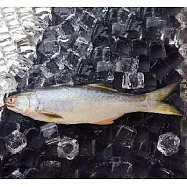 【吉品養生】安心水產_午仔魚(370g)