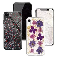 CITYBOSS for iPhone XR 繽紛星夜全包軟邊防滑手機保護殼 -金色飛燕/碎紅金色飛燕