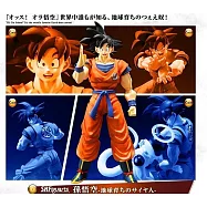 萬代 S.H.Figuarts 七龍珠Z 孫悟空 地球長大的賽亞人