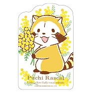 小小浣熊與含羞草icash2.0(含運費)