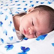 美國 Malabar baby Dohar有機棉包巾(1入) -湛藍舞蝶