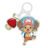 航海王喬巴與惡魔果實icash2.0(含運費)