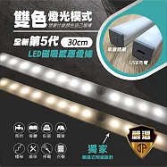 【JP嚴選-捷仕特】感應式LED 雙色磁吸照明燈條_30cm