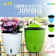 [Conalife]自動吸水水培土培二用壁掛盆贈S型掛勾 (2入組) 顏色隨機├ 尺寸S號┤