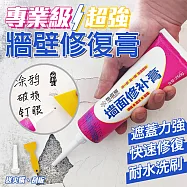 專業級超強牆壁修復膏