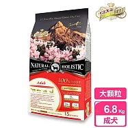 【藍帶無穀濃縮】成犬 6.8kg-大顆粒(牛肉+膠原蔬果)