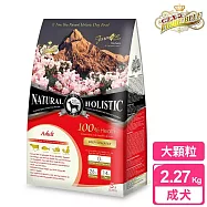 【藍帶無穀濃縮】成犬 2.27kg-大顆粒(牛肉+膠原蔬果)
