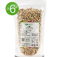 美好人生Beautiful Life 天然大薏仁6包(400g/袋)可當主食或加入米飯烹煮