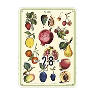 美國 Cavallini & Co. 萬年曆 水果