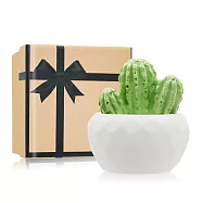 O&rsquo;Pretty 歐沛媞 室內/車用 香氛擴香石擺飾-迷你仙人掌樹(4X4X4.5cm)