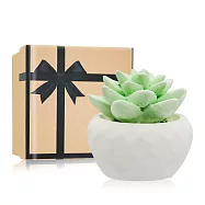 O&rsquo;Pretty 歐沛媞 室內/車用 香氛擴香石擺飾-迷你仙人掌蓮花(4X4X4cm)