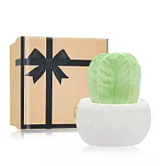 O&rsquo;Pretty 歐沛媞 室內/車用 香氛擴香石擺飾-迷你五角仙人掌(4.5X4.5X6cm)