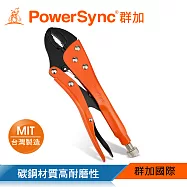 群加 PowerSync 10"高級普通嘴萬能鉗/台灣製造(WDA-EF254)