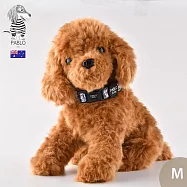 Pablo & Co 寵物項圈 狗項圈 奶奶家花園 M
