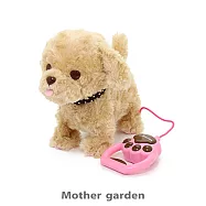 日本Usamomo萌兔桃桃-家家酒-一起去散步 紅貴賓