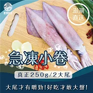 【新港社合 X 一把青】澎湖直送 野生小卷250g 3包組 (漁民直營 產銷共贏 大尾才有嚼勁)